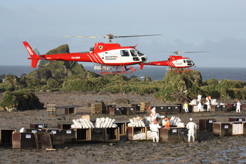 Mission staff loading bait into helicopter buckets on Macquarie Island, which lie halfway between New Zealand and Antarctica.